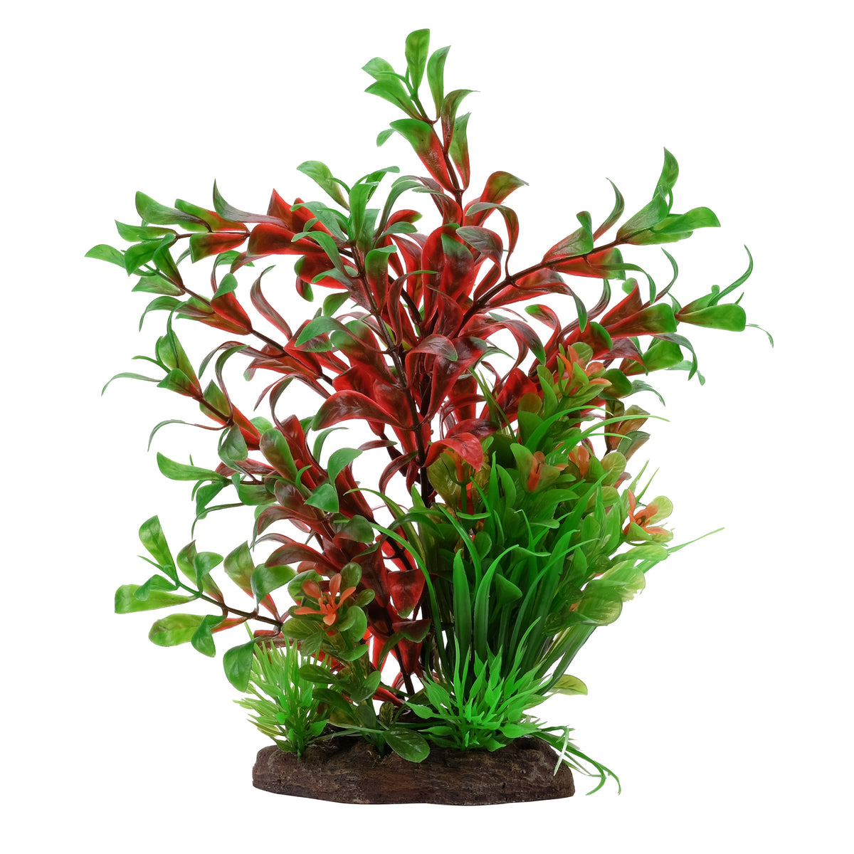 Ludwigia rouge et sagittaire naine Plant Scapes Aqualife, 20 cm