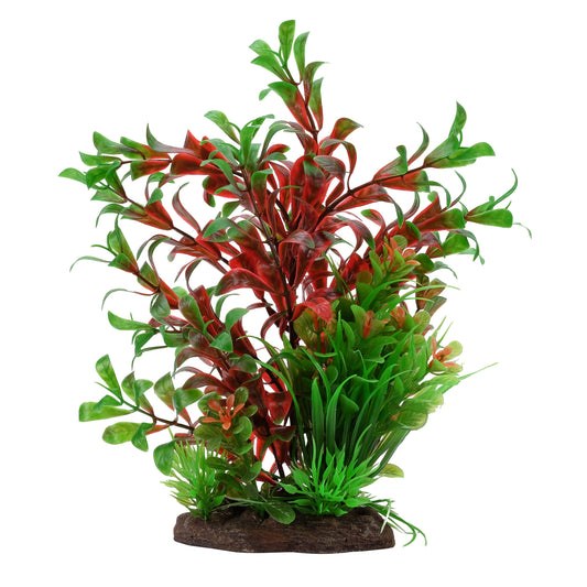 Ludwigia rouge et sagittaire naine Plant Scapes Aqualife, 20 cm