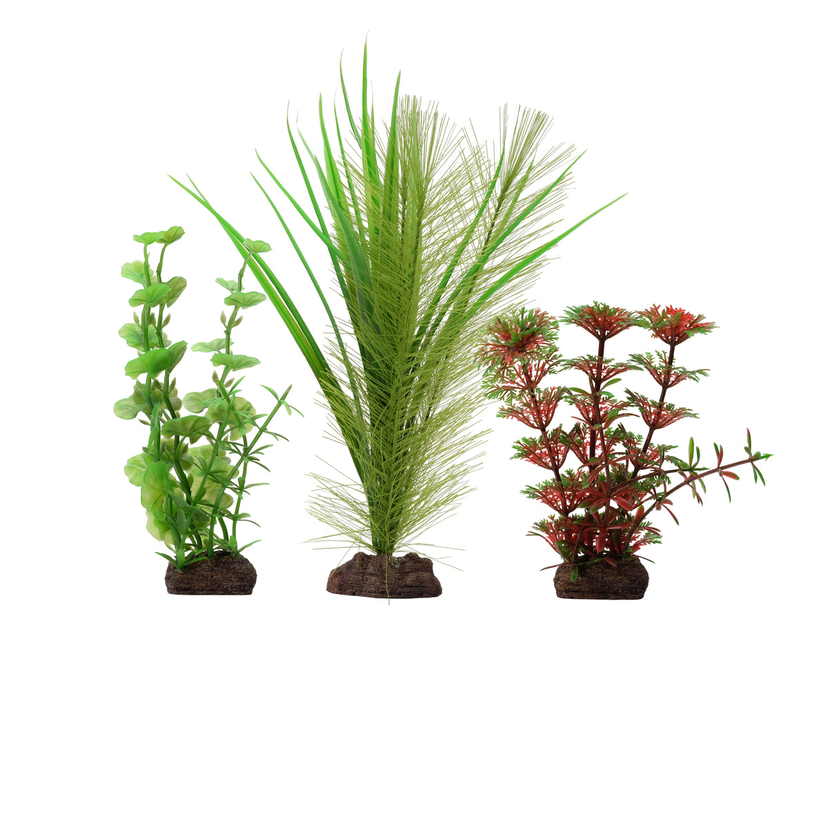 Collection de 3 plantes Limnophila rouge Plant Scapes Aqualife, 10-20 cm