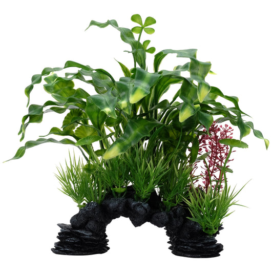 Aponogeton crispé Deco Scapes Aqualife, 25,5 cm