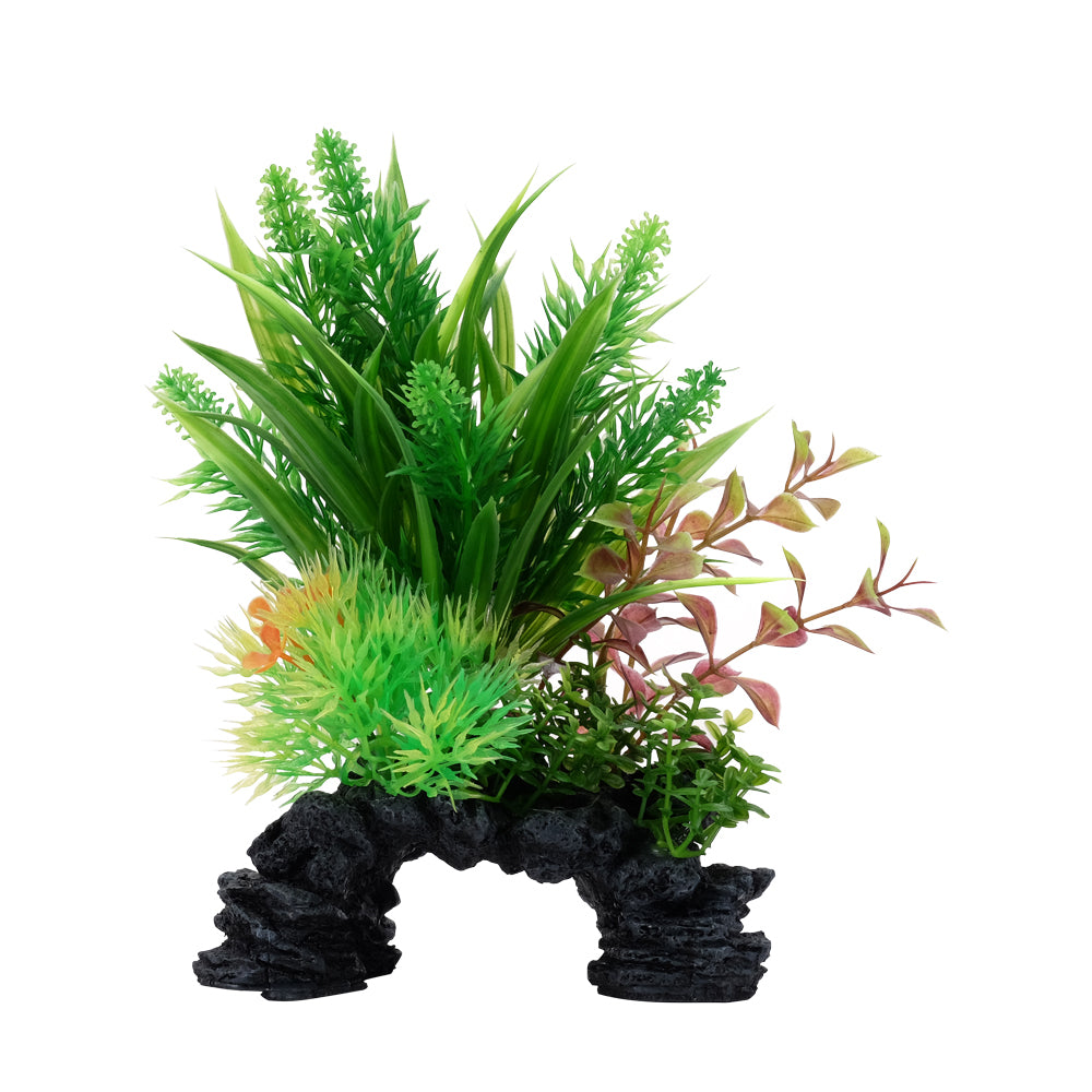 Ludwigia et sagittaire Deco Scapes Aqualife, 15-20 cm