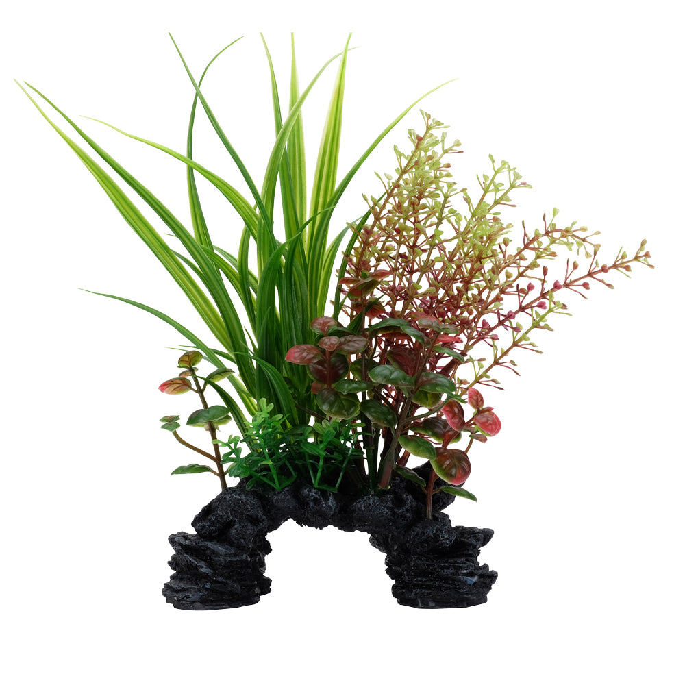 Sagittaire et rotala Deco Scapes Aqualife, 15-20 cm