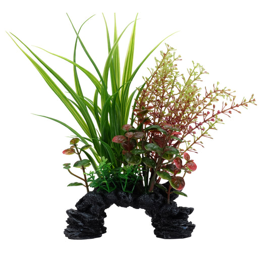 Sagittaire et rotala Deco Scapes Aqualife, 15-20 cm