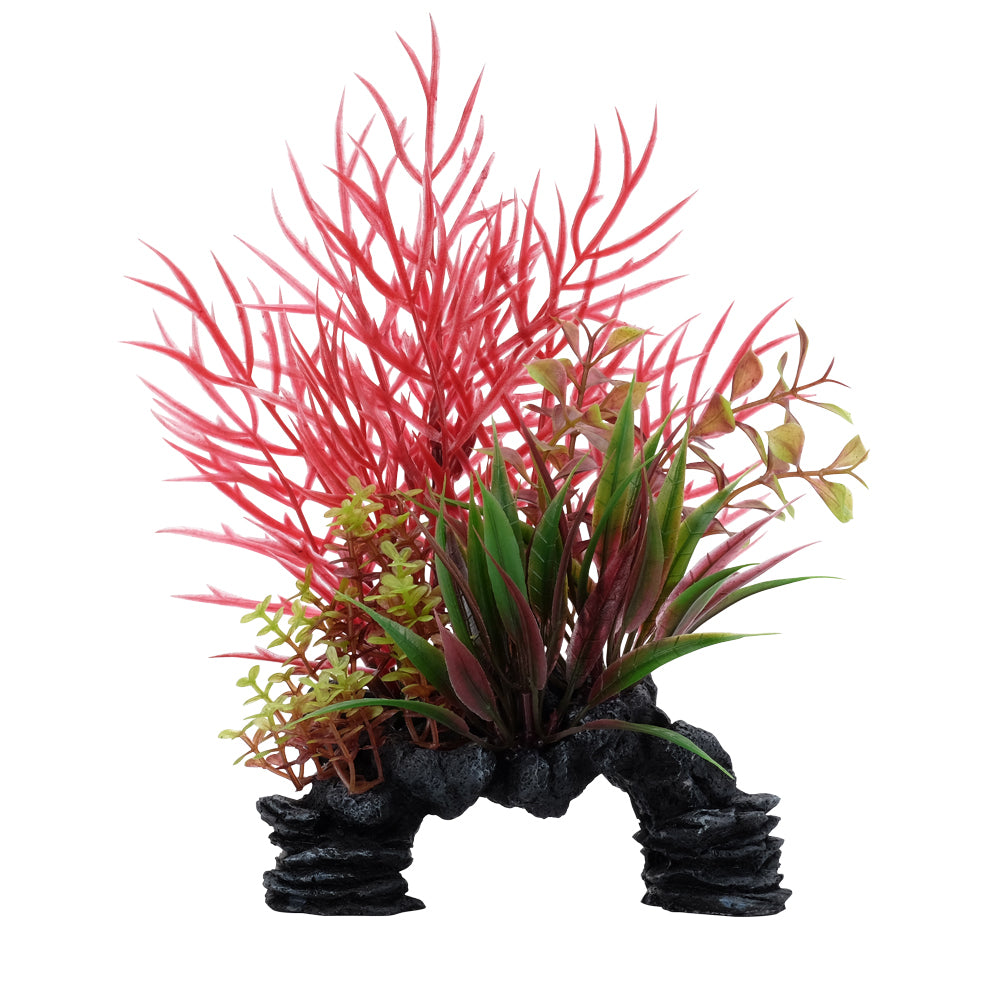 Glycine rouge Deco Scapes Aqualife, 15-20 cm
