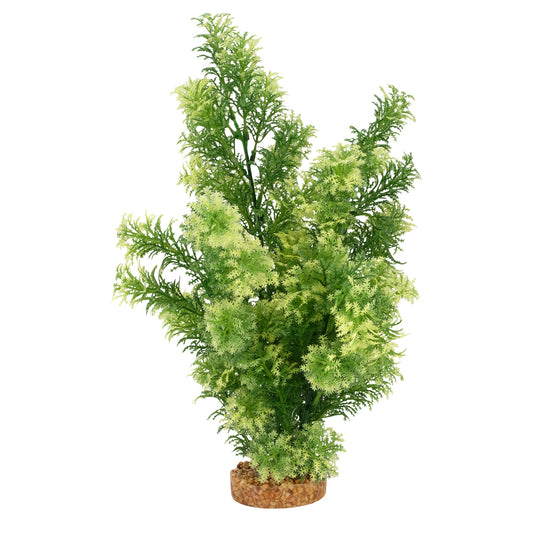 Hottonie à pointes blanches Plant Scapes Aqualife, 35,5 cm