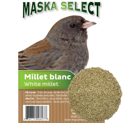 Millet blanc pour oiseau sauvage - Maska