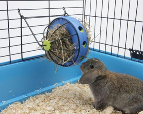 Bunny Toy pour lapin - jouet pour petits mammifères