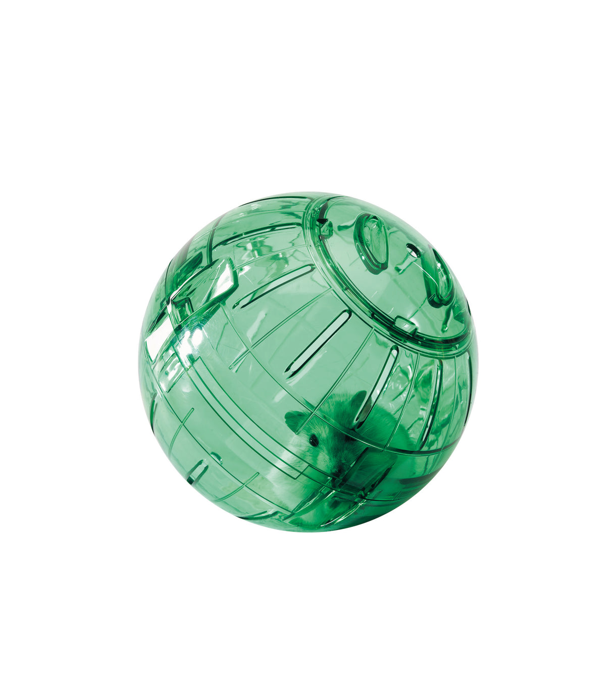 Runner - boule d'exercice pour petits mammifères