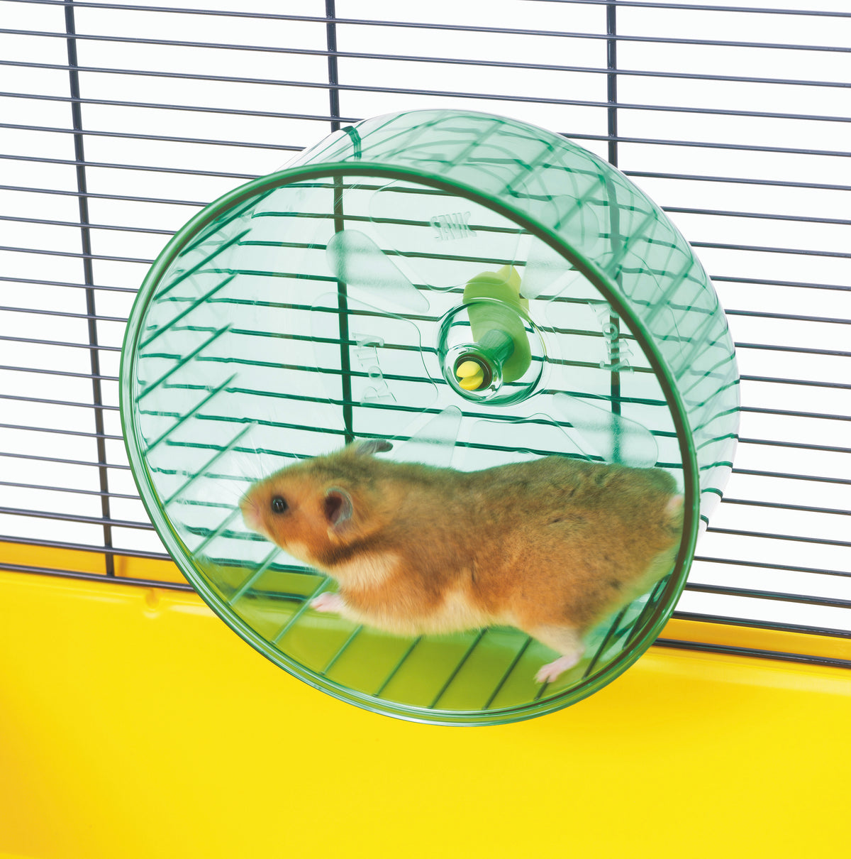 Rolly - roue d'exercice pour petits mammifères