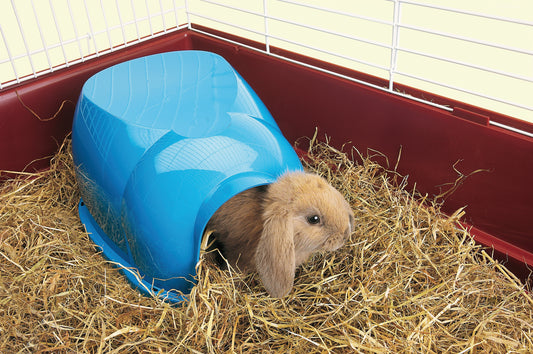 Maison Cocoon (lapin, cochon d'Inde, rat)