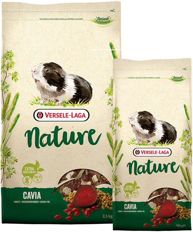 Nourriture pour cochon d'Inde Cavia