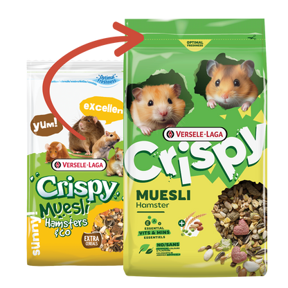Muesli pour hamster et compagnie