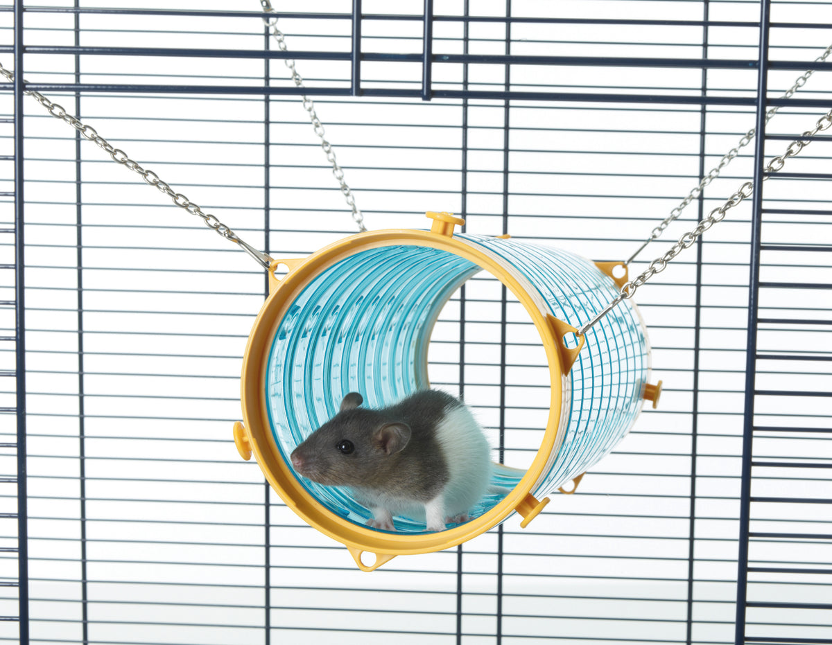 Tube géant pour rats et furets - jouet pour petits mammifères