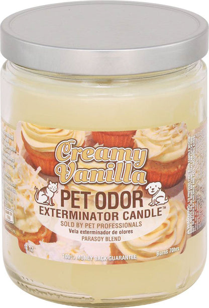 Chandelle enzymatique Holly Molly