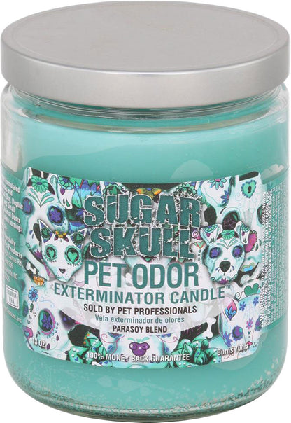 Chandelle enzymatique Holly Molly