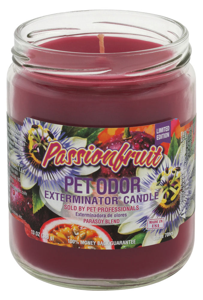 Chandelle enzymatique Holly Molly