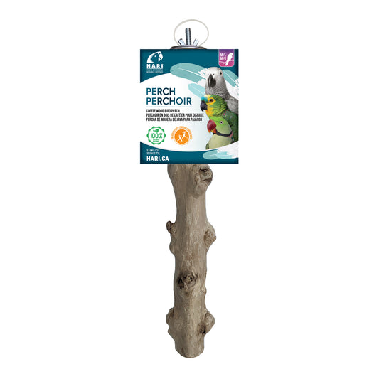 Perchoir en bois de caféier pour perroquets