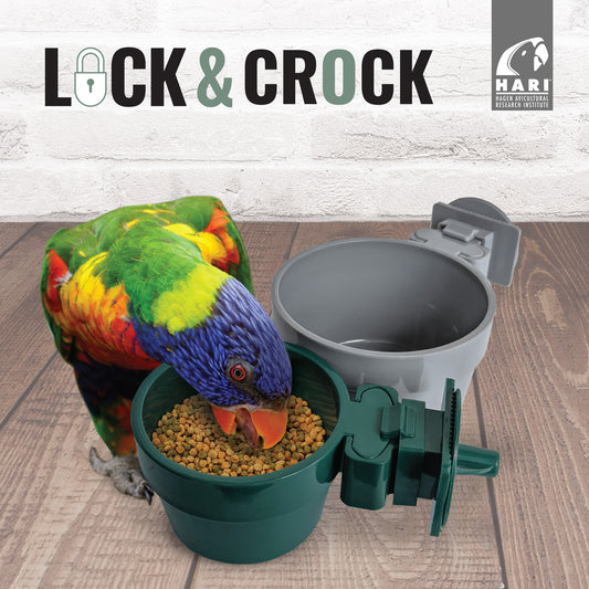 Bol de nourrissage ultrarésistant et antidéversement Lock & Crock
