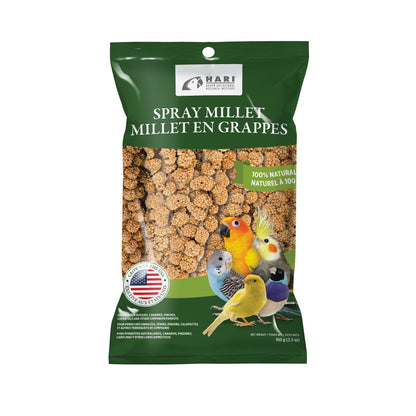 Millet en grappes