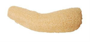 Luffa naturel pour oiseaux 3-4 po