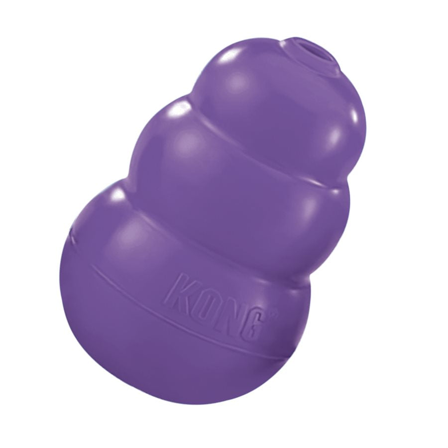 KONG Senior - jouet pour chien