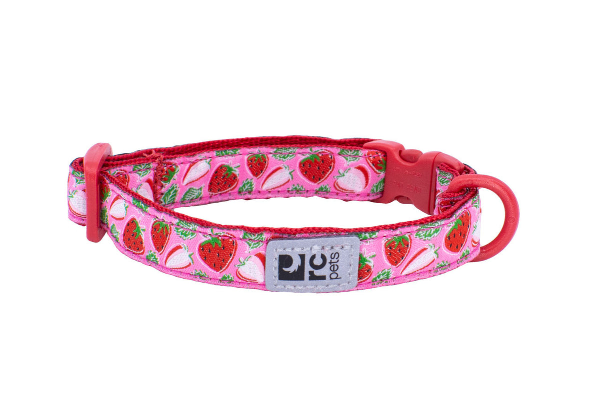 Collier sécuritaire à motifs pour chat - RC Pets