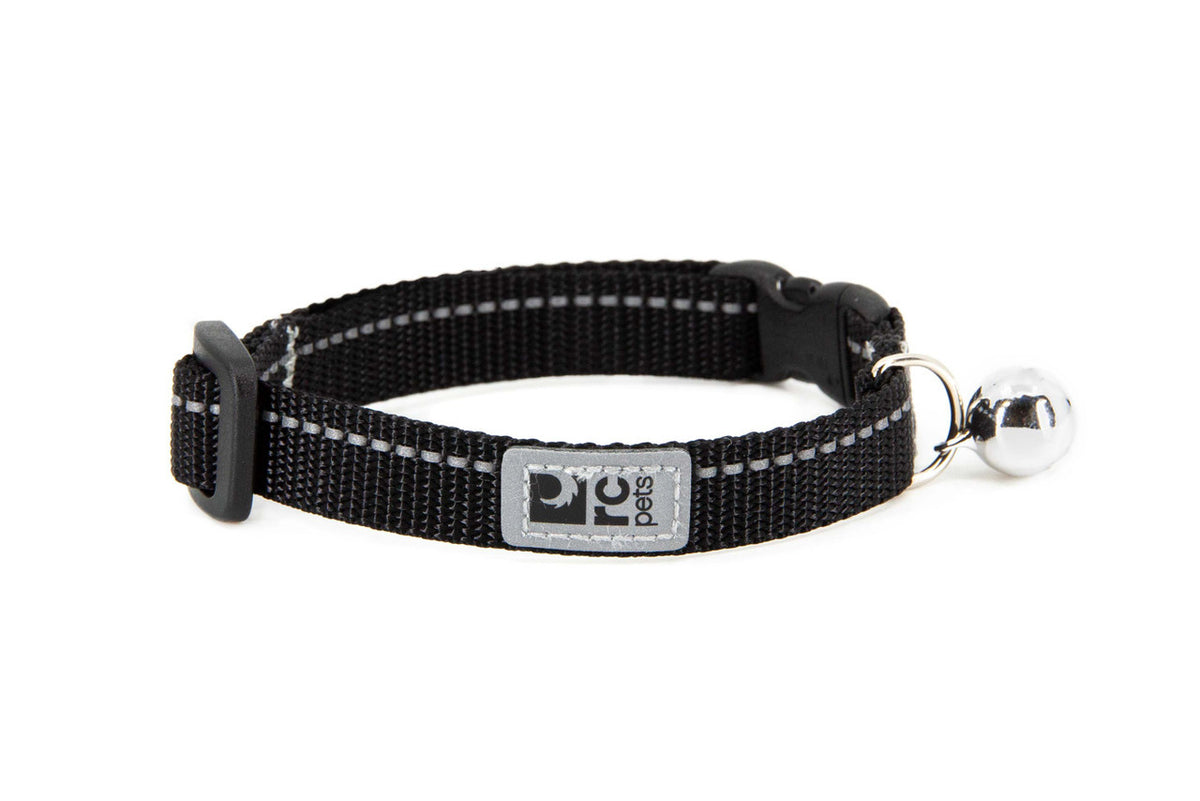 Collier sécuritaire de base pour chat
