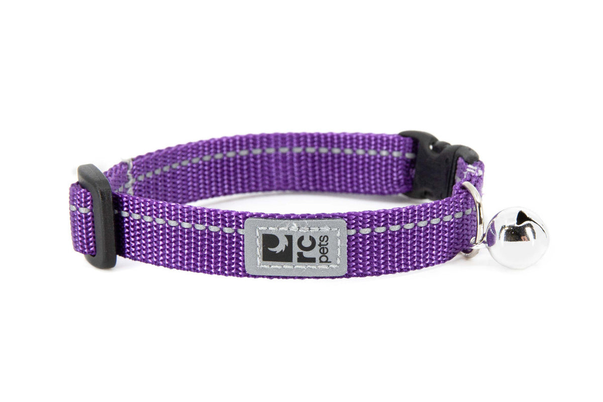 Collier sécuritaire de base pour chat