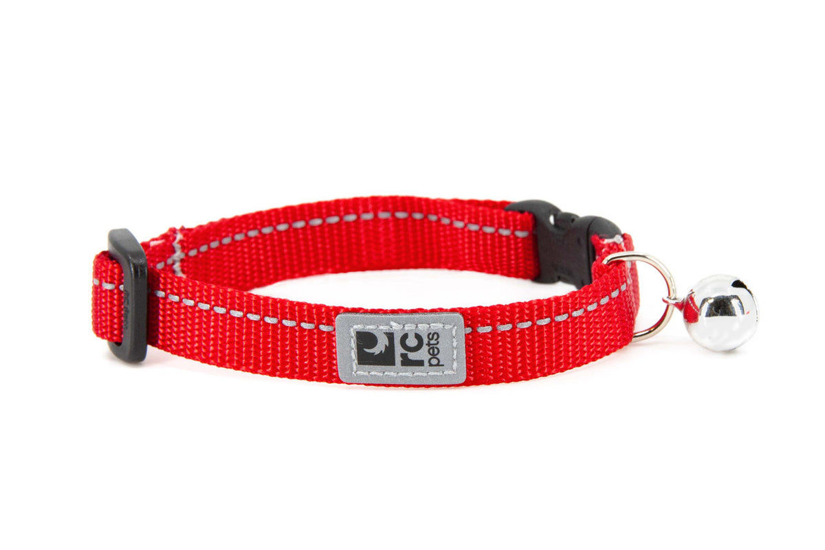 Collier sécuritaire de base pour chat