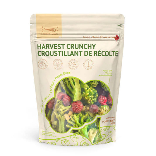 Gâteries Harvest Crunchy pour chien