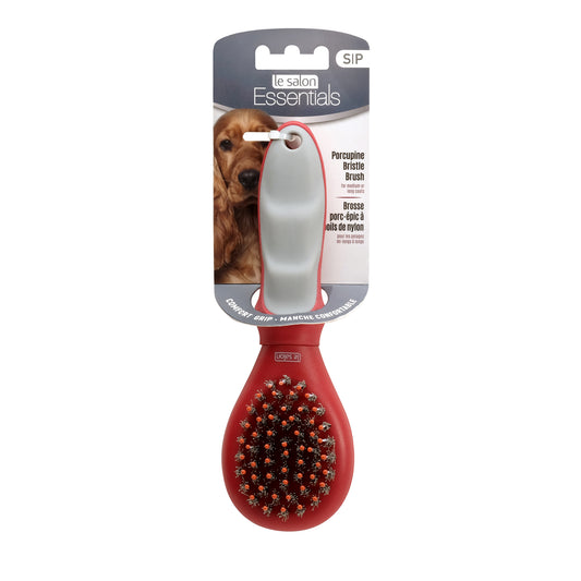 Brosse porc-épic Essentials à poils de nylon pour chiens, petite