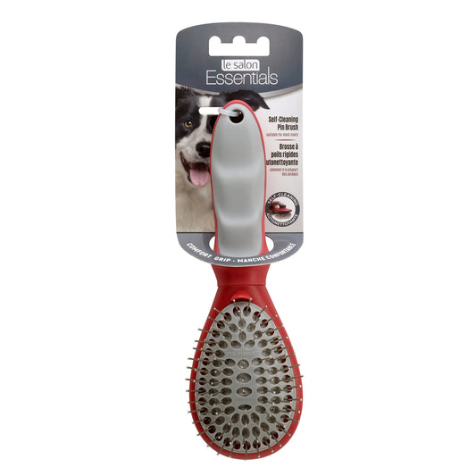 Brosse à poils rigides autonettoyante pour chiens