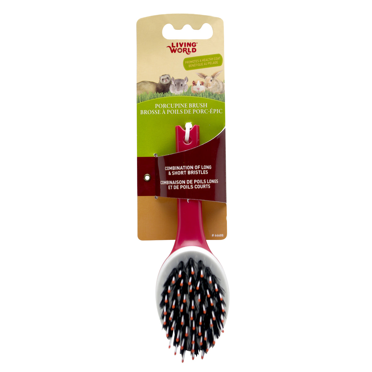 Brosse à poils de porc-épic pour petits animaux