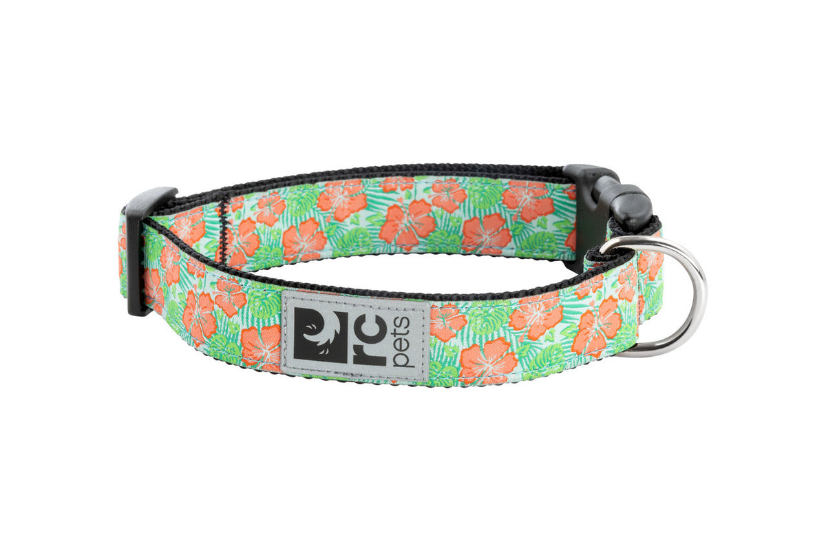 Collier à motifs pour chien - RC Pets