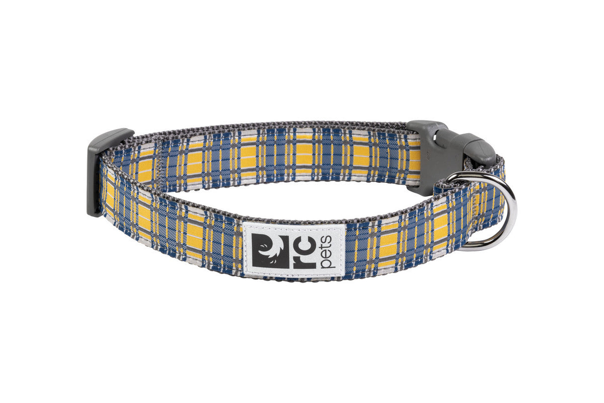 Collier à motifs pour chien - RC Pets