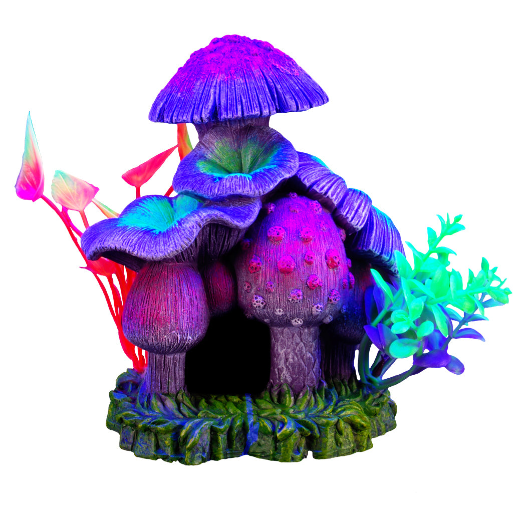 Ornement iGlo, maison en champignons avec plantes
