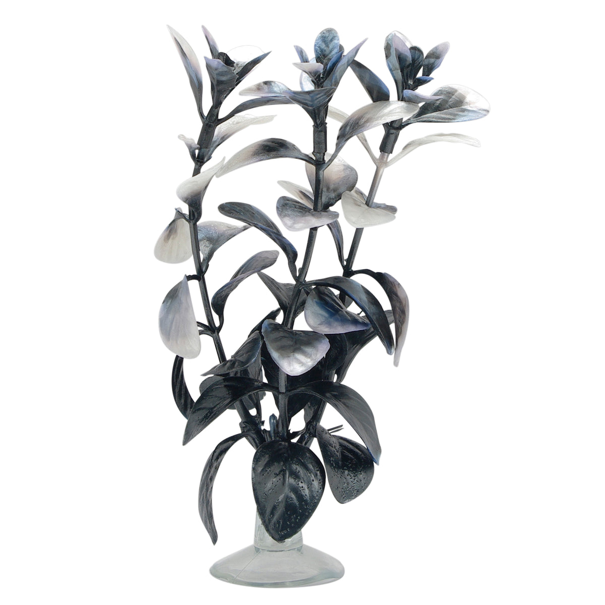 Ludwigia rouge pour aquarium équipé pour betta, 12,7 cm