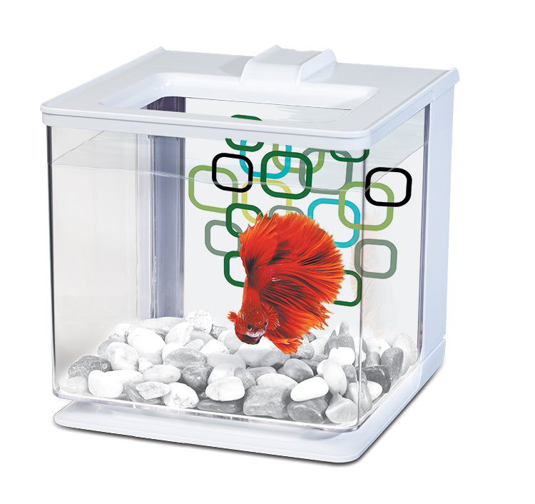Aquarium équipé EZ Care pour betta 2,5 L