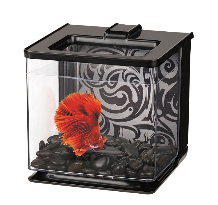 Aquarium équipé EZ Care pour betta 2,5 L