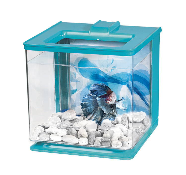 Aquarium équipé EZ Care pour betta 2,5 L