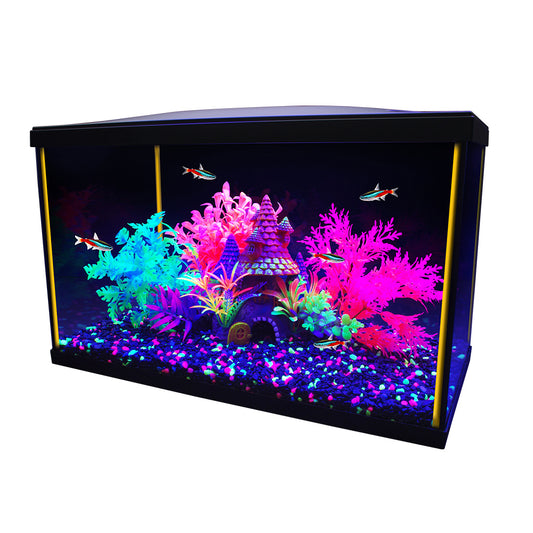 Aquarium équipé iGlo