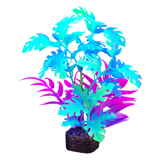 Plante iGlo, 19 cm