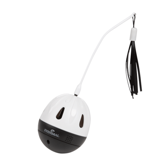 Balle distributrice de friandises Spin & Treat - jouet pour chat