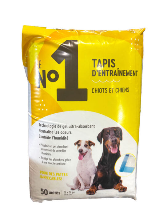 Tapis d'entraînement pour chien Le No. 1