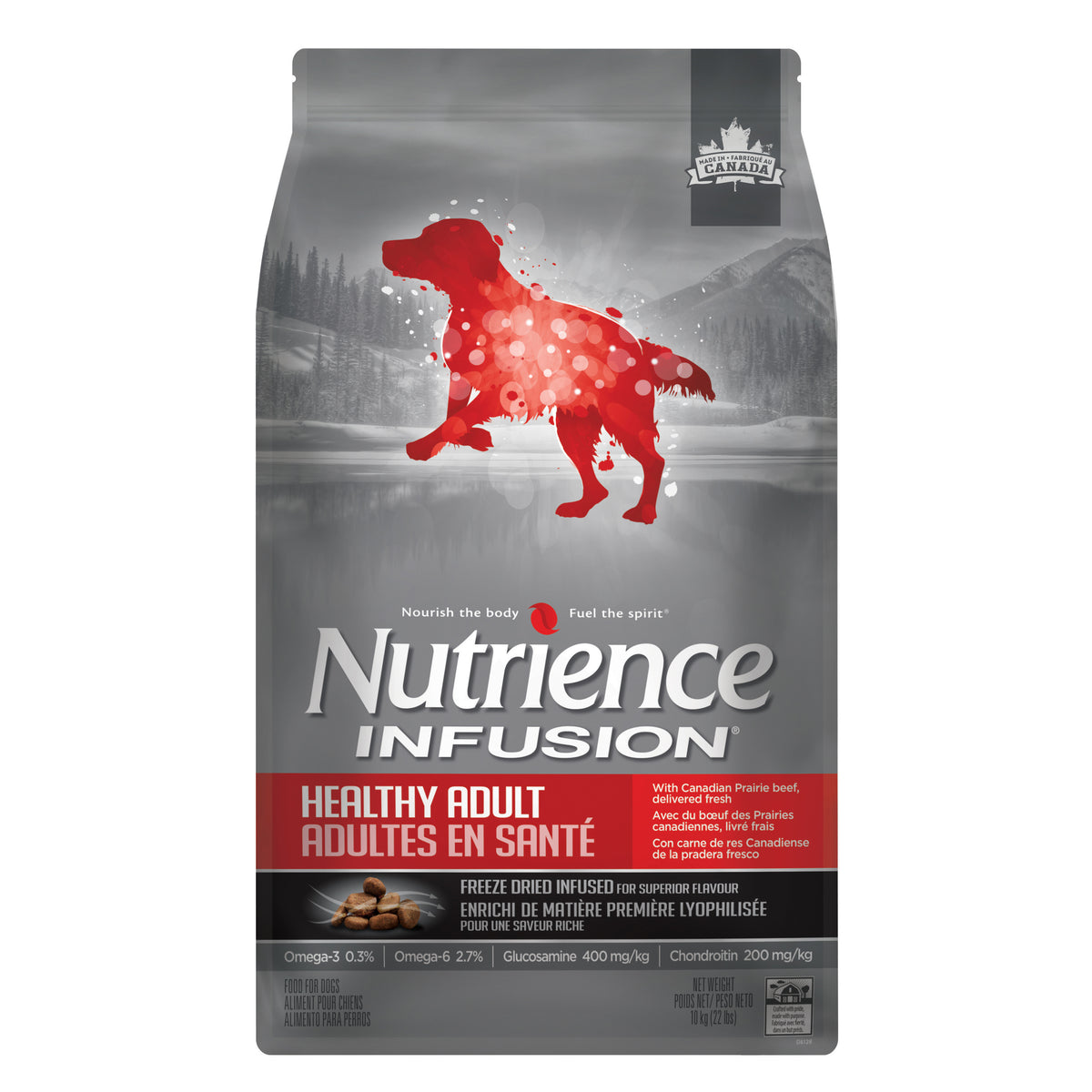 Nourriture sèche Infusion pour chiens adultes en santé
