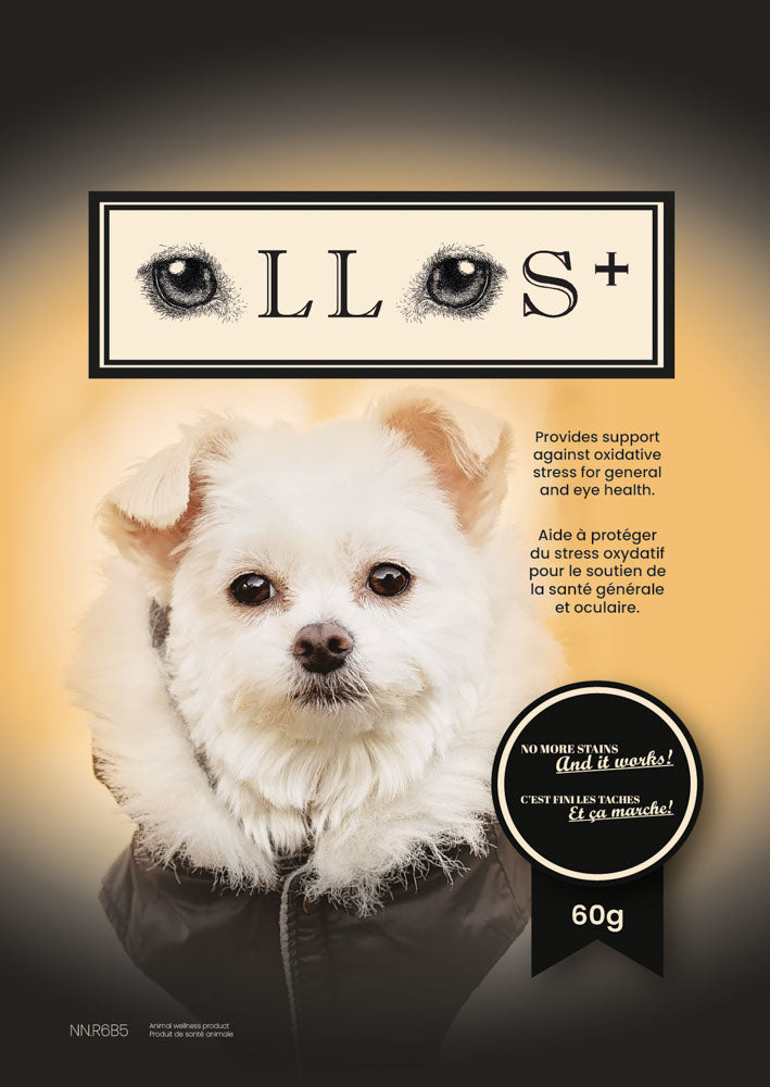 Poudre contre les taches de larmes pour chien Ollos
