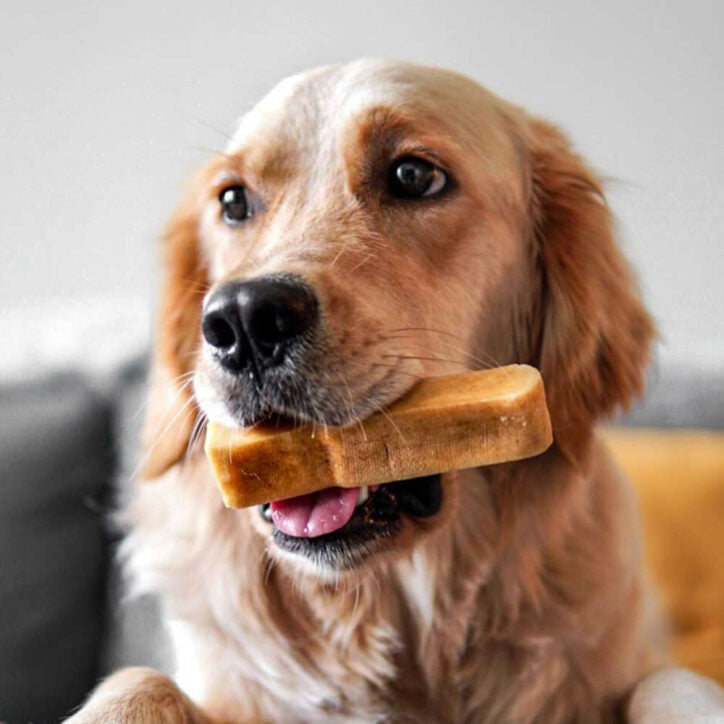Yak nature - bâtonnets à mâcher pour chien Only One Treats