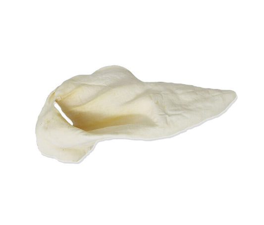 Oreille de vache grande