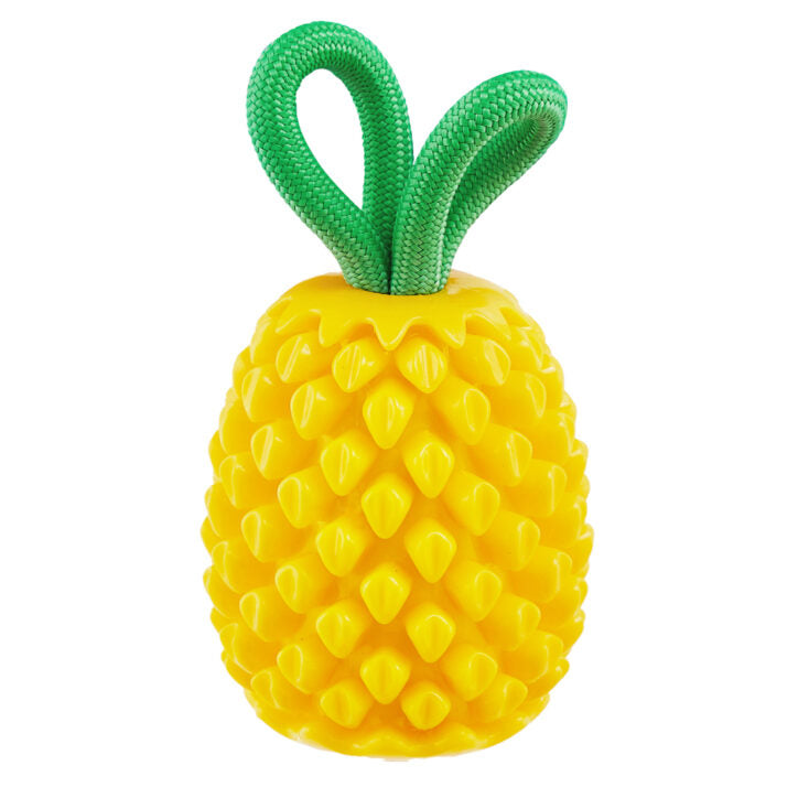 Jouet dentaire distributeur ananas 6,5 x 3 po
