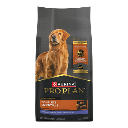 Nourriture sèche pour chien adulte bouchées à la viande
